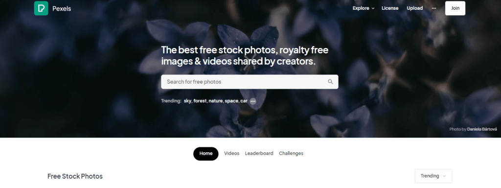 Pexels.com website